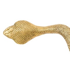 Fauna Medusa - snake brass knob