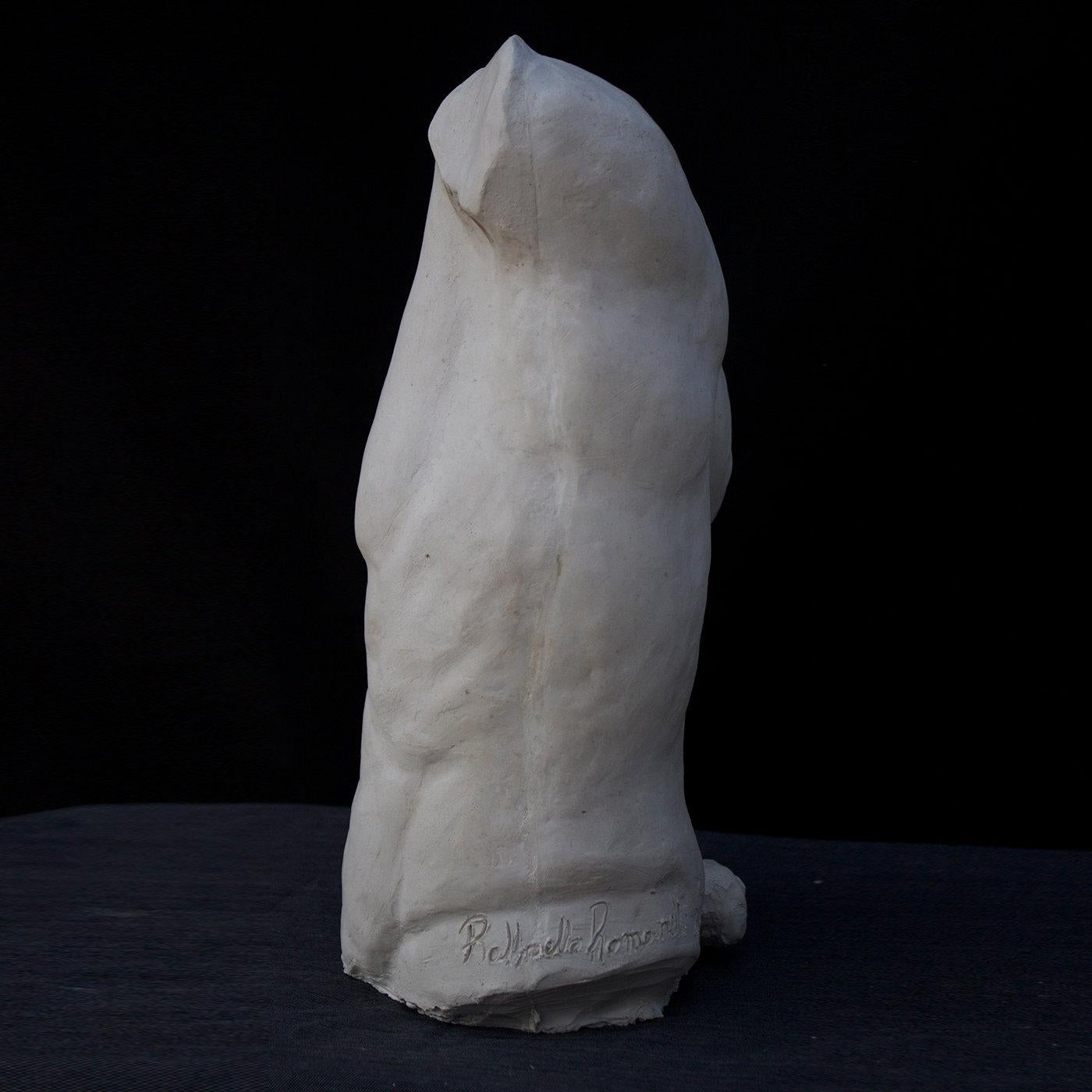 Questo busto in gesso è una riproduzione del modello originale in bronzo creato dallo scultore Raffaello Romanelli. Ispirato al famoso Torso Gaddi esposto nella Sala delle Sculture Classiche dei Musei degli Uffizi di Firenze, questo pezzo pone