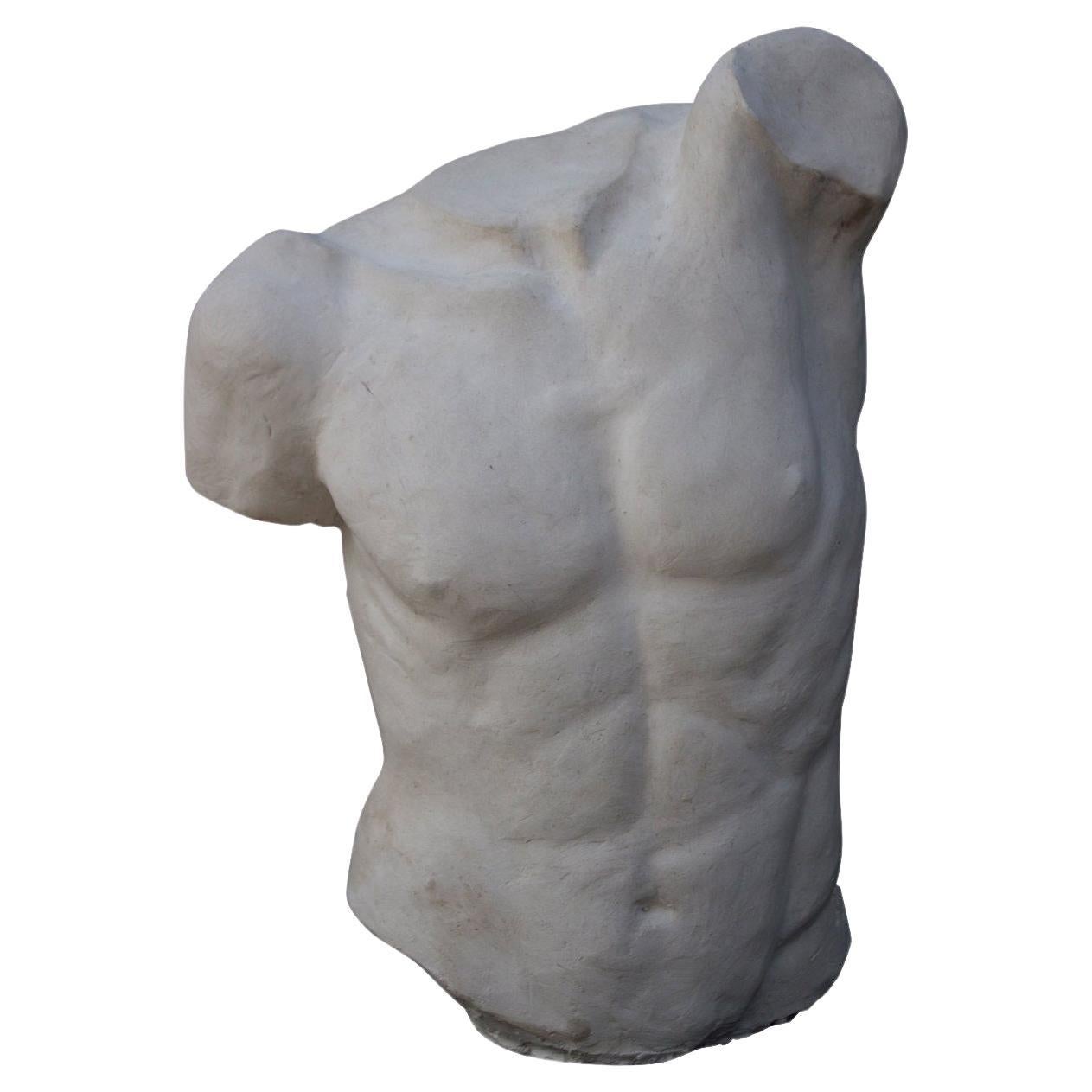 Fauno Torso Small Plaster Scultpure For Sale