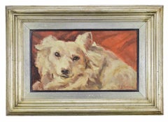 Dog - Painting by Fausta Settimj - Early 20th Century