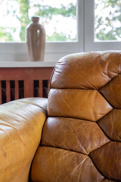 Sillón De Sede DS-P