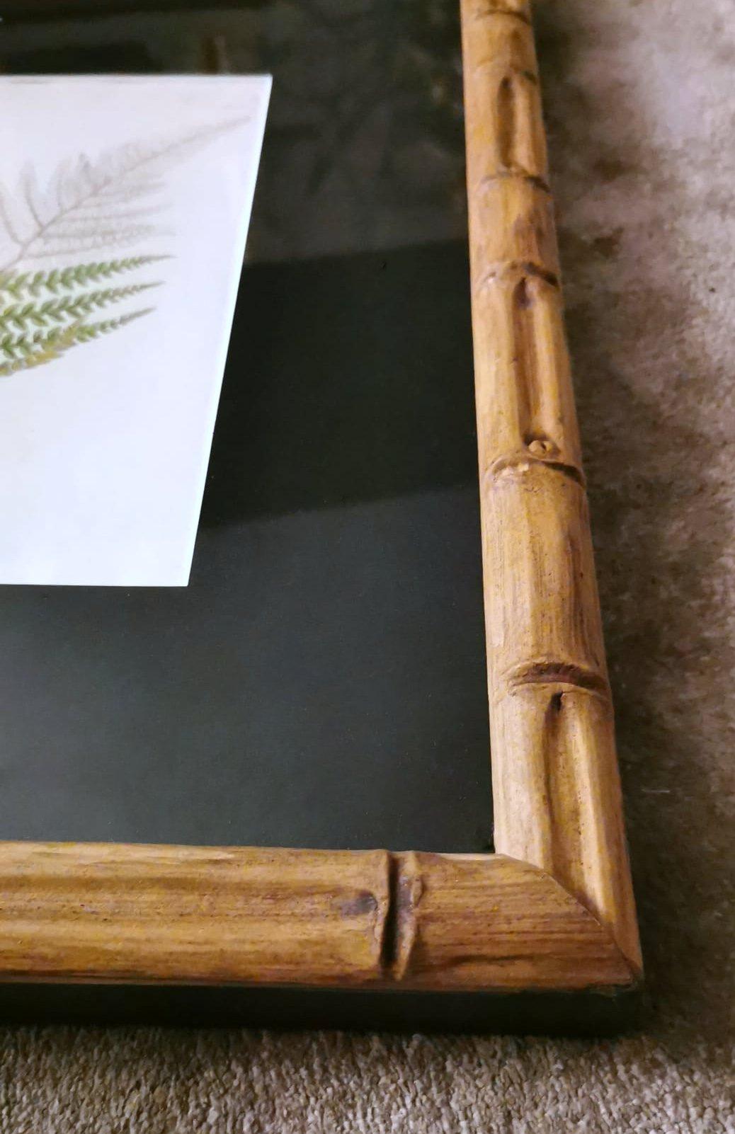 Cadre en faux bambou avec six impressions botaniques anglaises de James Sowerby en vente 9