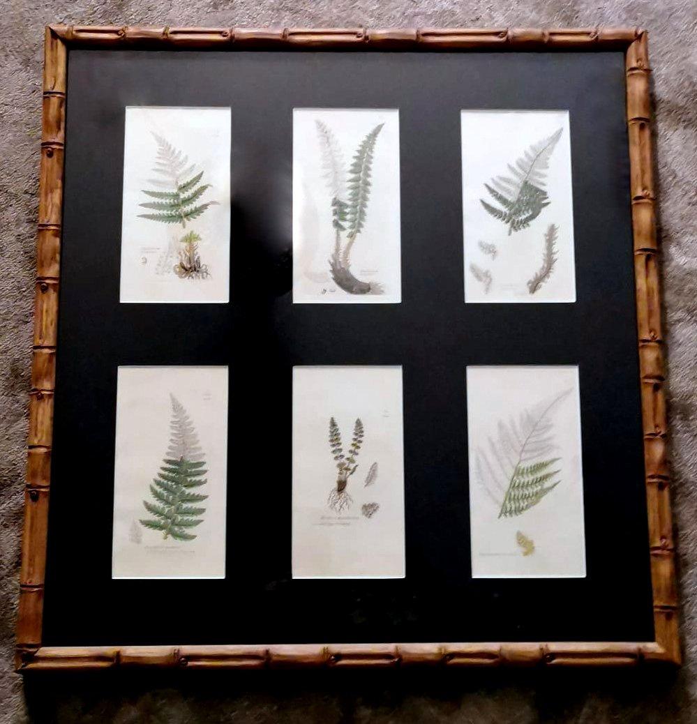 Chinoiseries Cadre en faux bambou avec six impressions botaniques anglaises de James Sowerby en vente
