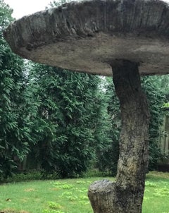 Faux Bois Birdbath