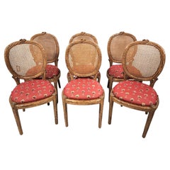Faux Bois Branch Cane Back Dining Chairs with 3D Tropical Fabric, Set of 6