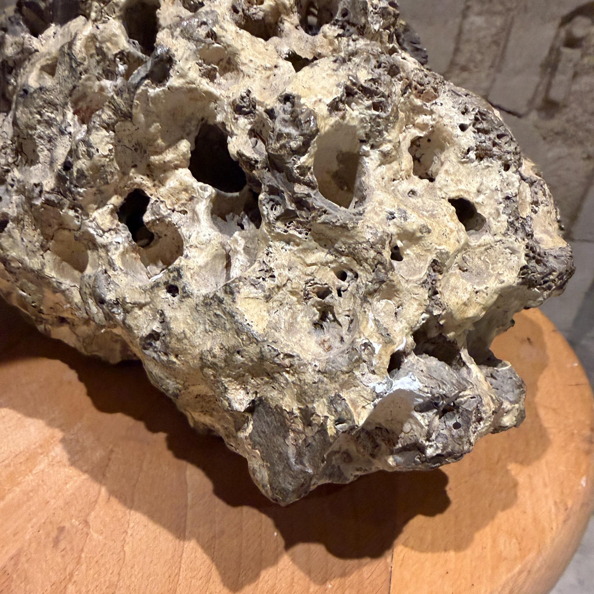 Scultura di gabbiano in bronzo finto su roccia vulcanica firmata Barnes 73 in vendita 5