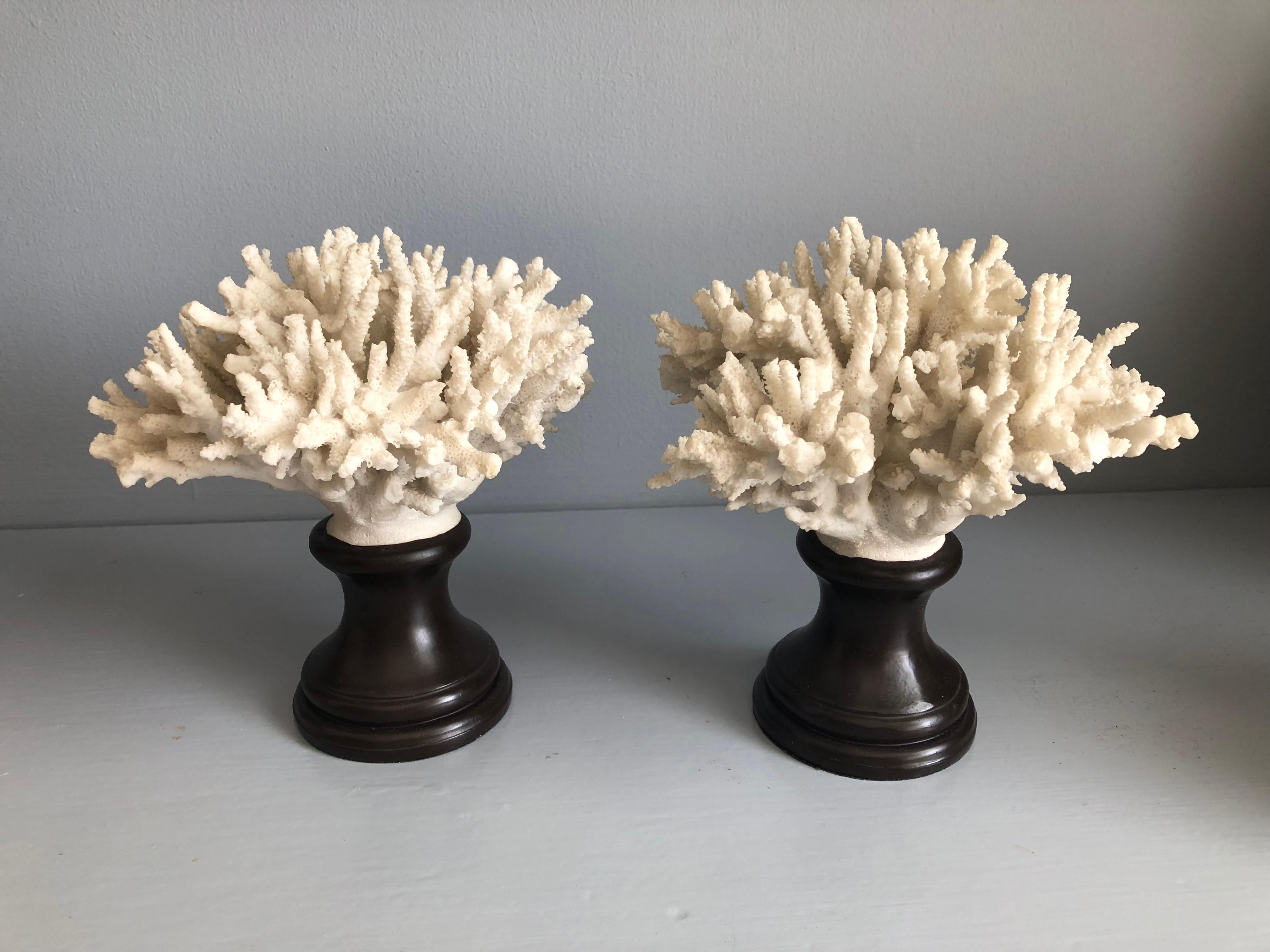 A pair of faux coral specimens in fired china mounted on ceramic stands.