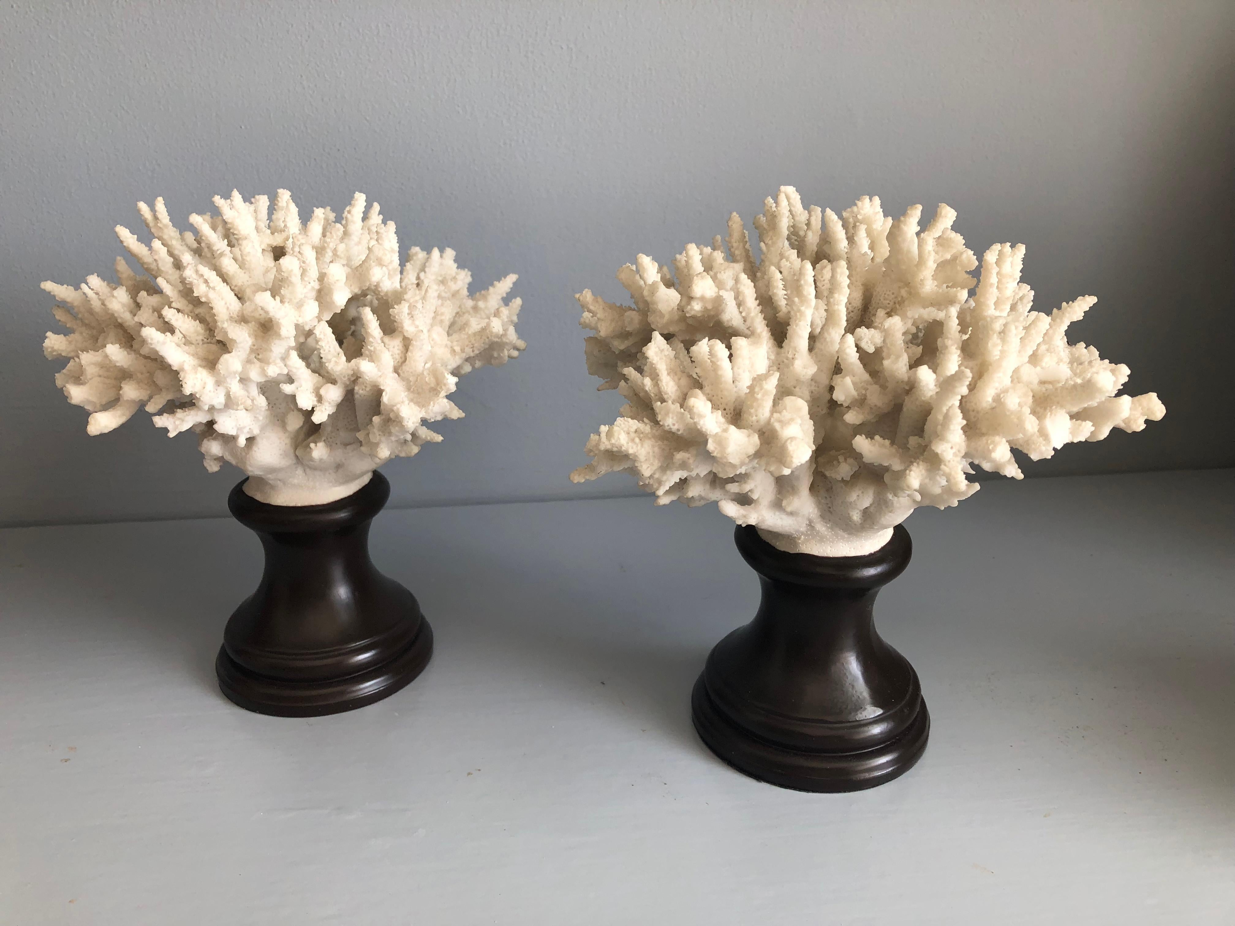 faux coral on stand