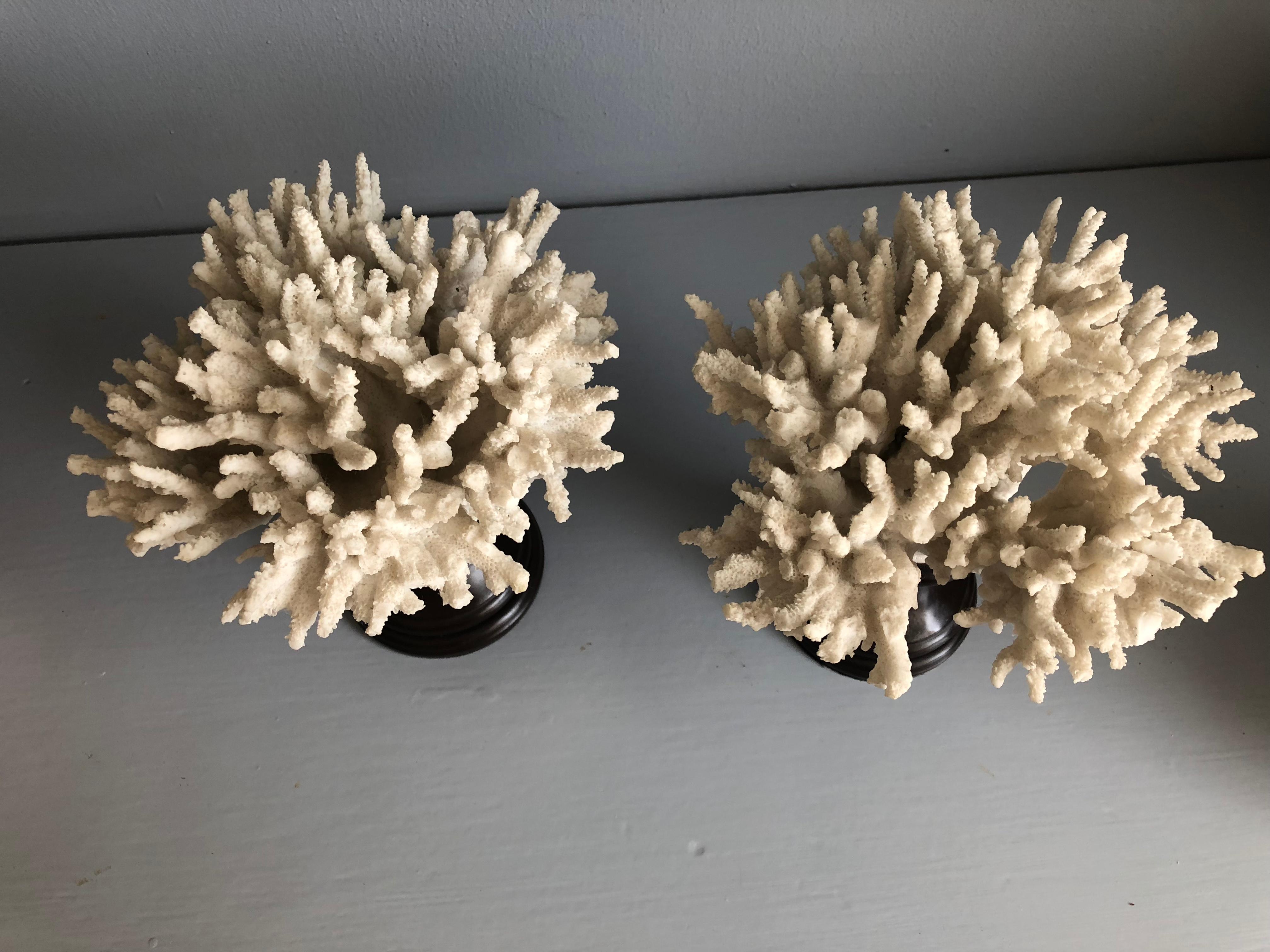 decorative faux coral