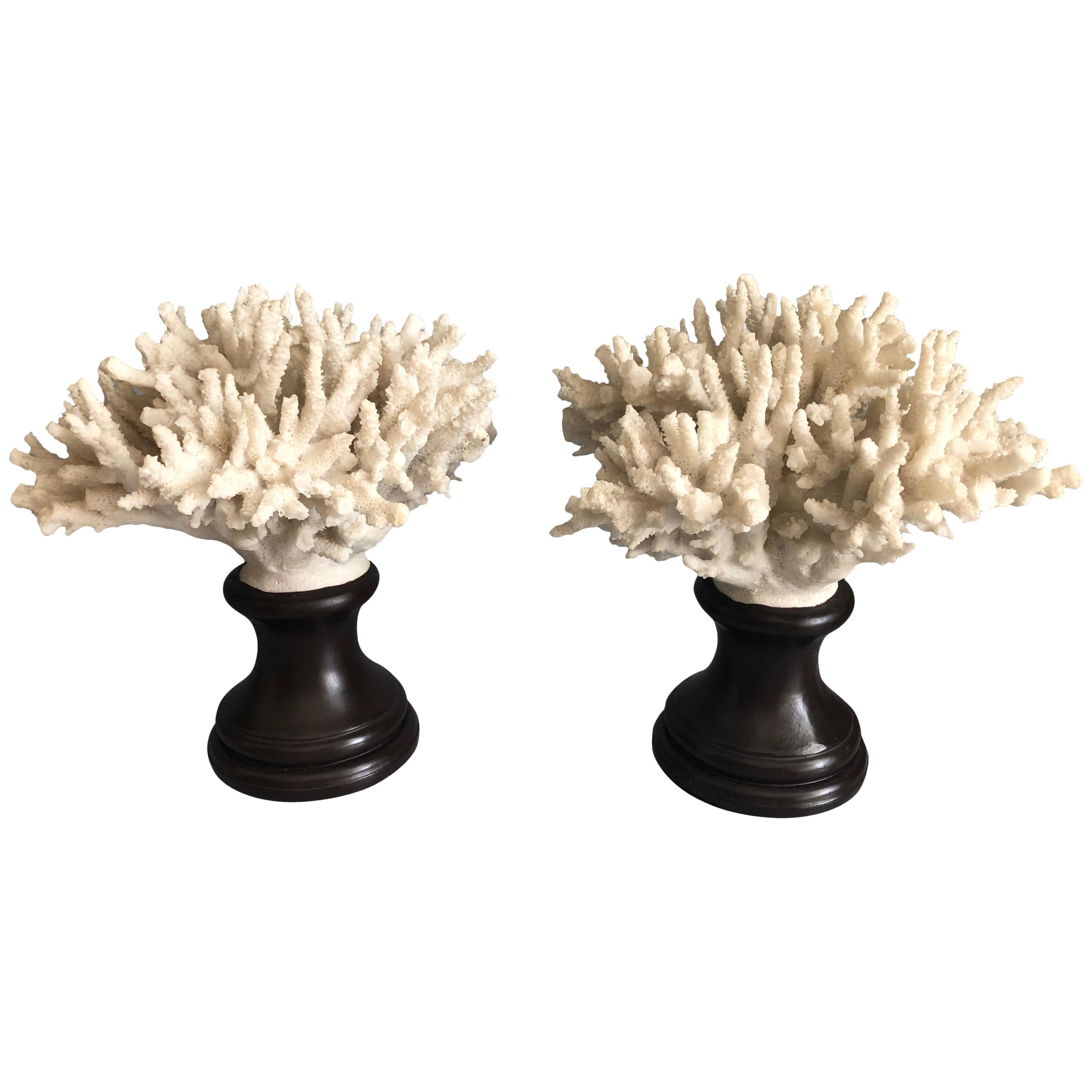 Faux Coral Decorations on Stands at 1stDibs