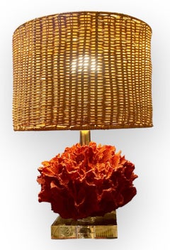 Faux Coral Table Lamp Wicker Shade Lucite Base