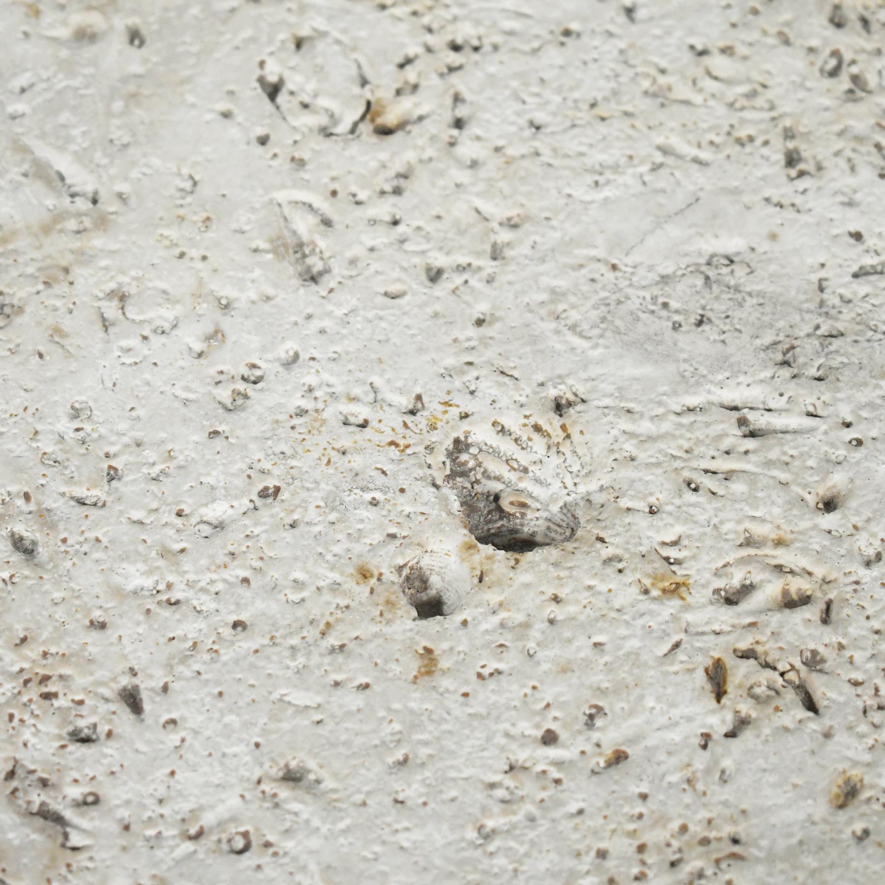 Plaster Faux Fossilized Stone Table For Sale