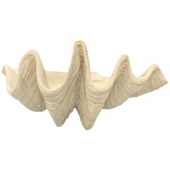 Faux Giant Tridacna Clam Shell