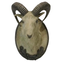 Faux Granite Ram Wall Mount