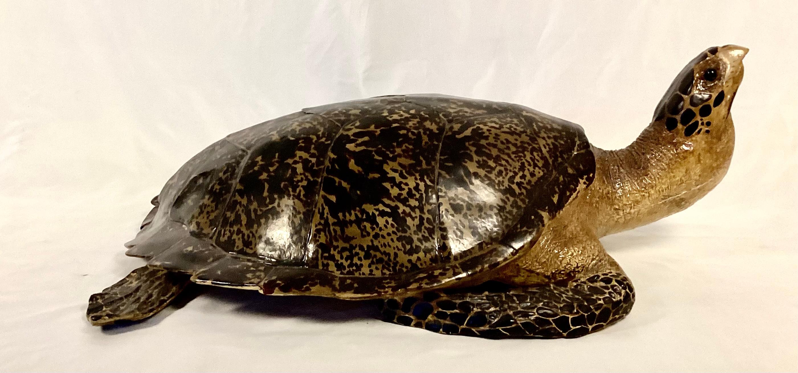 This life-size realistic faux tortoise that looks like an authentic taxidermy tortoise. Made of durable fiberglass resin.  Beautiful tan and dark brown coloring. You cannot tell it's not real without close examination. Good condition.