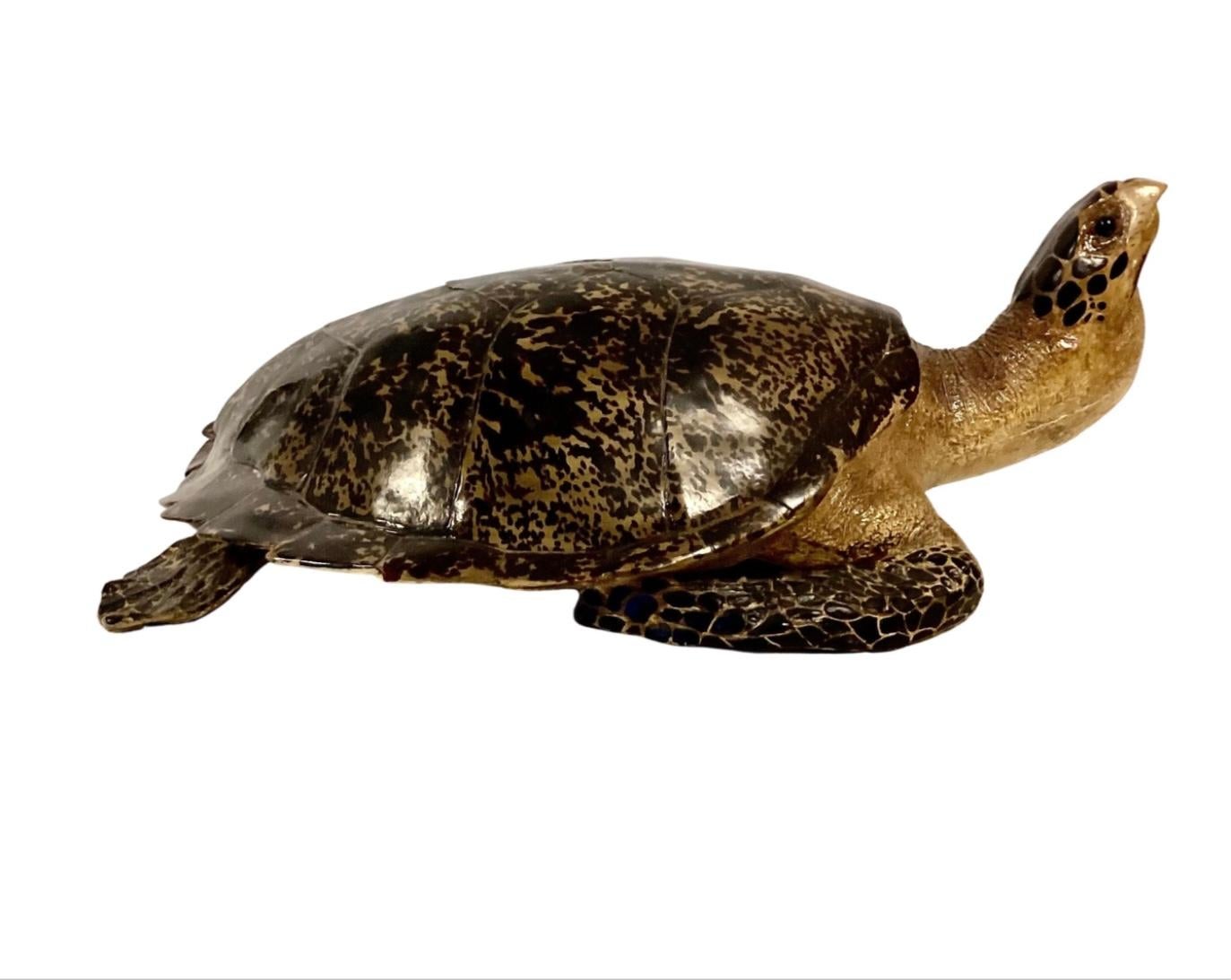 20ième siècle Fausse tortue taxidermique grandeur nature 
