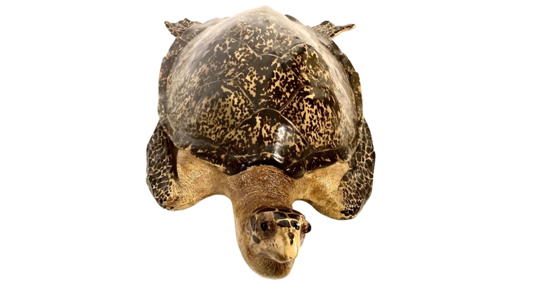Fiberglass Faux Life-Size Taxidermy Tortoise