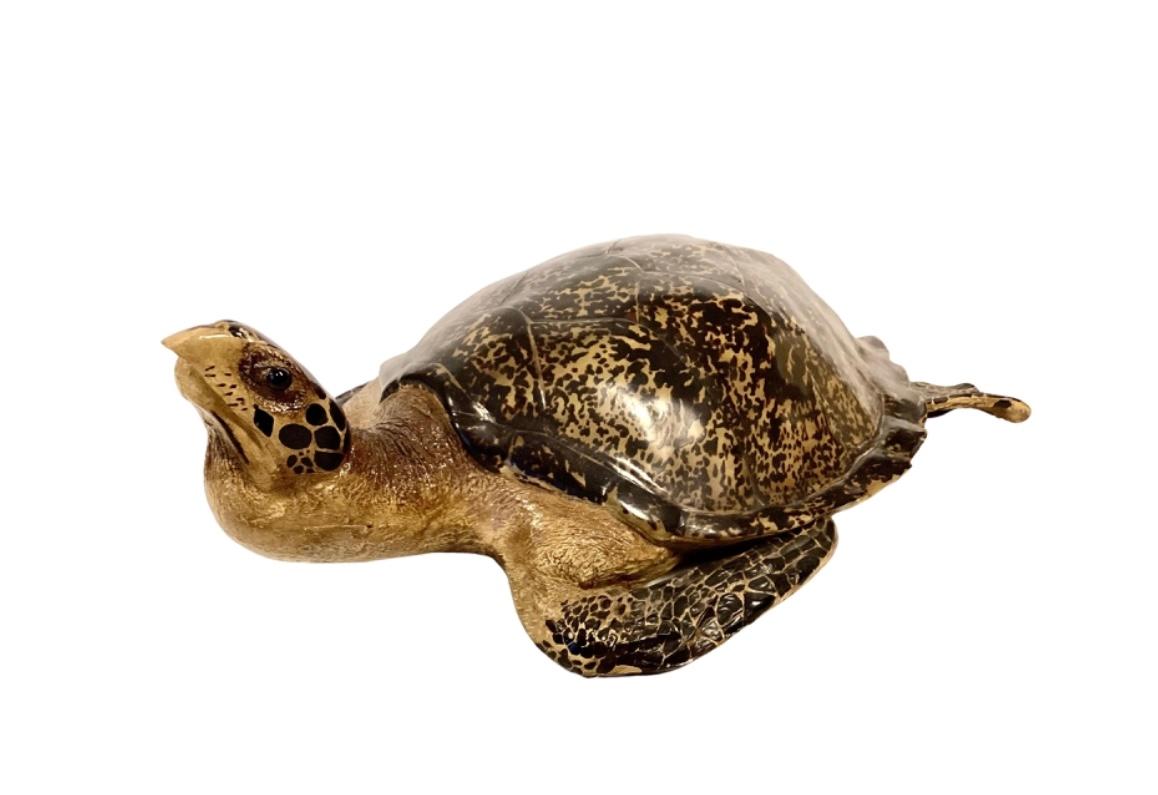 Faux Life-Size Taxidermy Tortoise 1