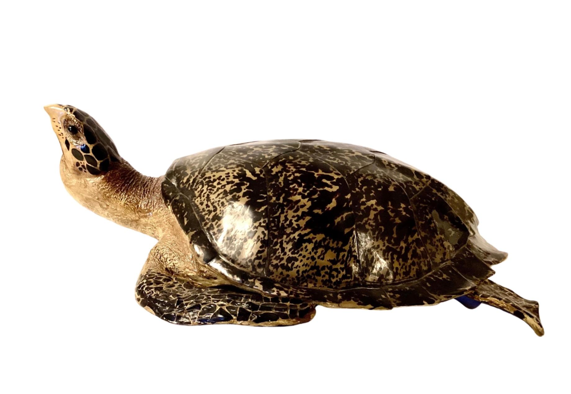 Fausse tortue taxidermique grandeur nature  2