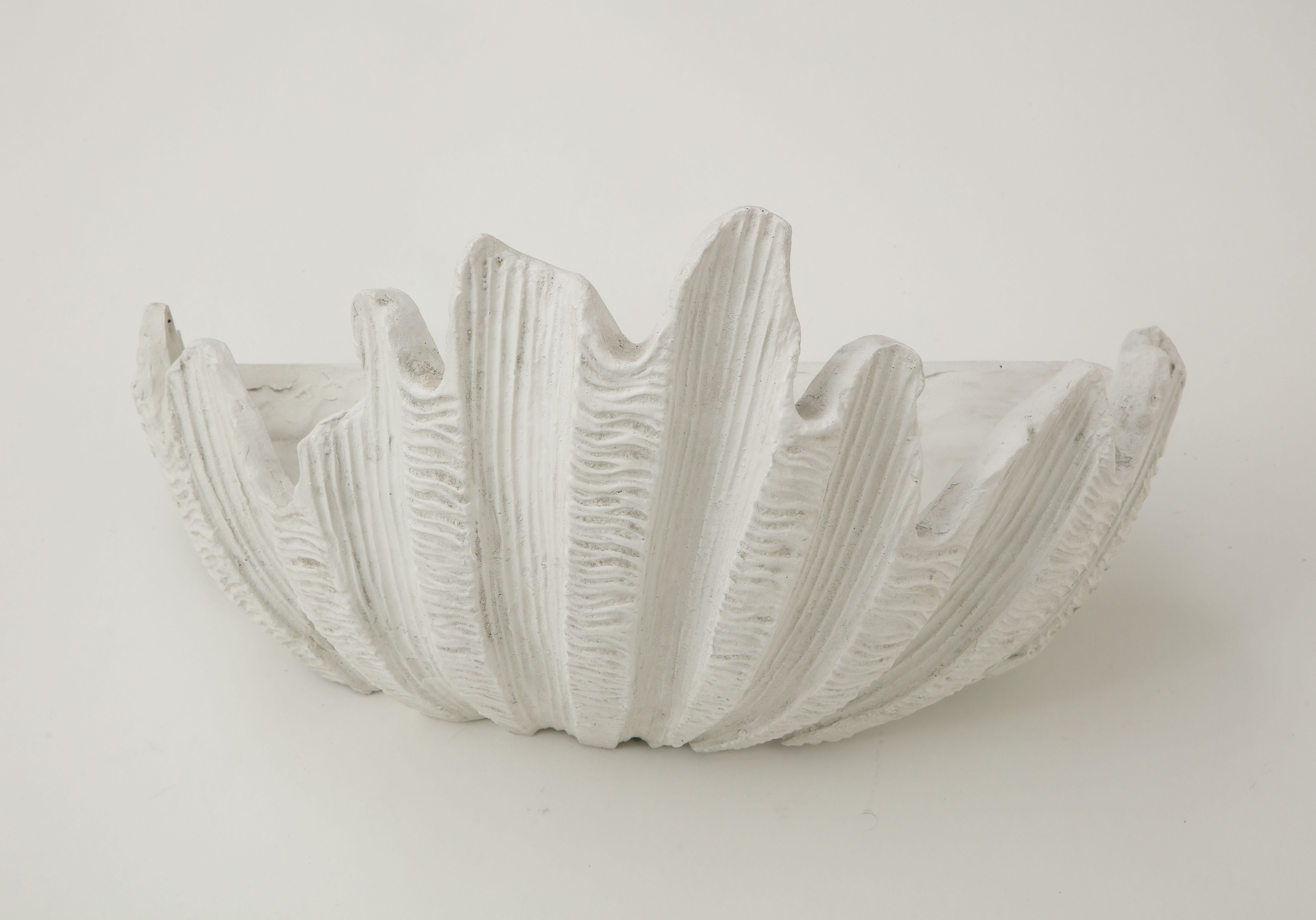 shell sconce