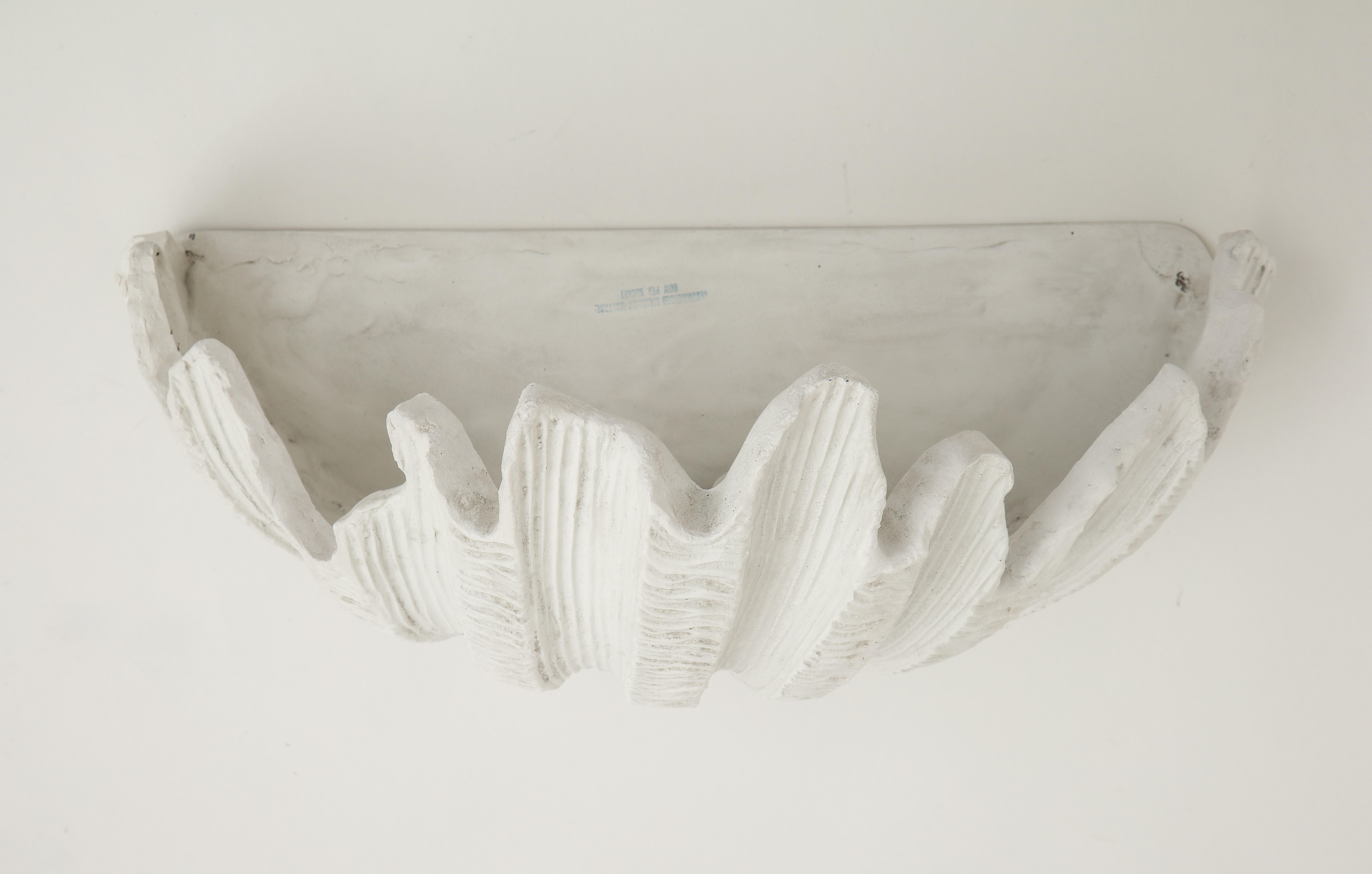 shell sconce light