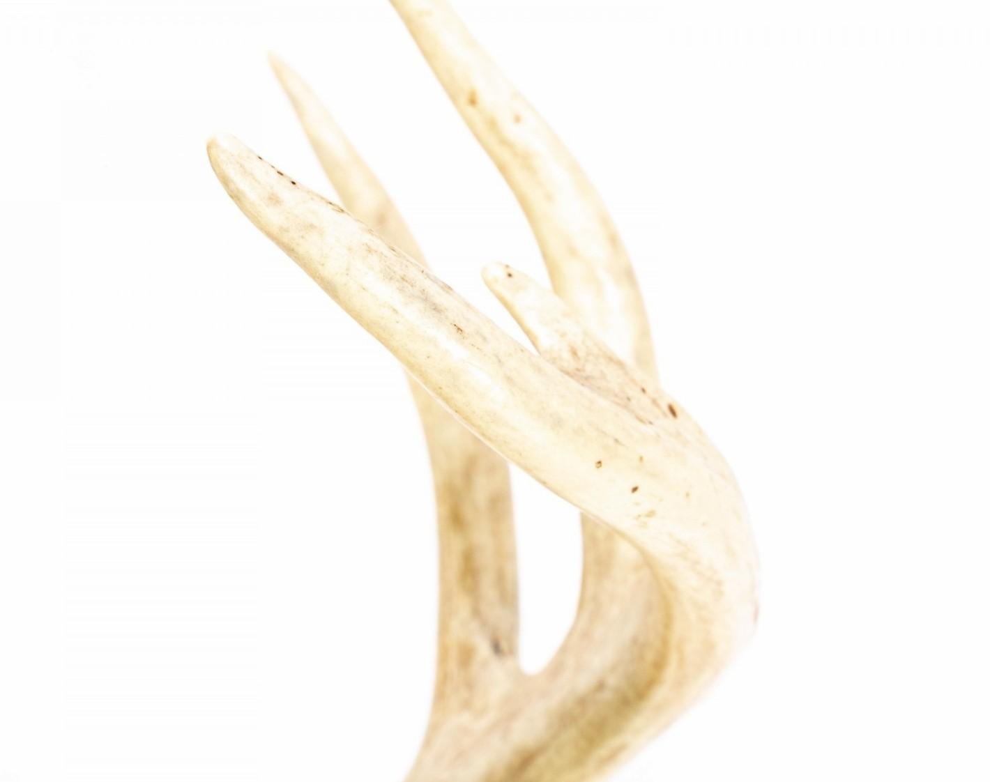 Faux Taxidermy Embellished Naturalistic Imitation Deer Antler Wall Mount For Sale 3