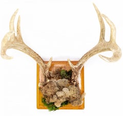 Faux Taxidermy Embellished Naturalistic Imitation Deer Antler Wall Mount
