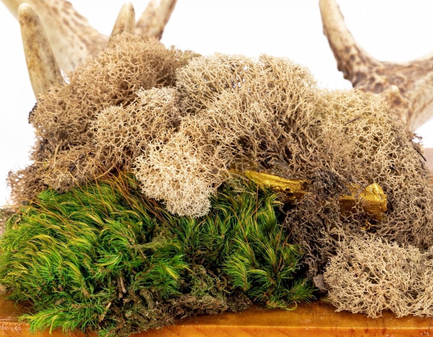 Hand-Crafted Faux Taxidermy Embellished Naturalistic Imitation Deer Antler Wall Mount For Sale