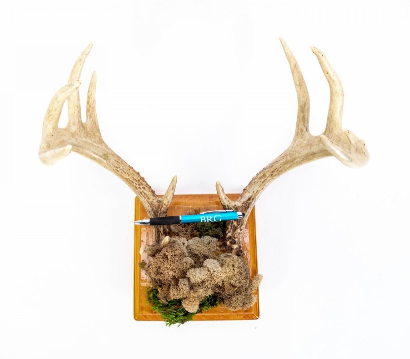 Fabric Faux Taxidermy Embellished Naturalistic Imitation Deer Antler Wall Mount For Sale