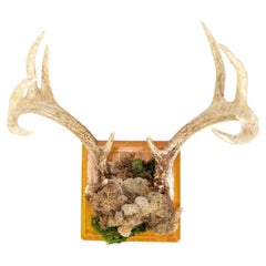 Wandhalterung aus Kunst Taxidermie mit natürlicher Imitation von Hirschgeweide, naturalistischer Taxidermie