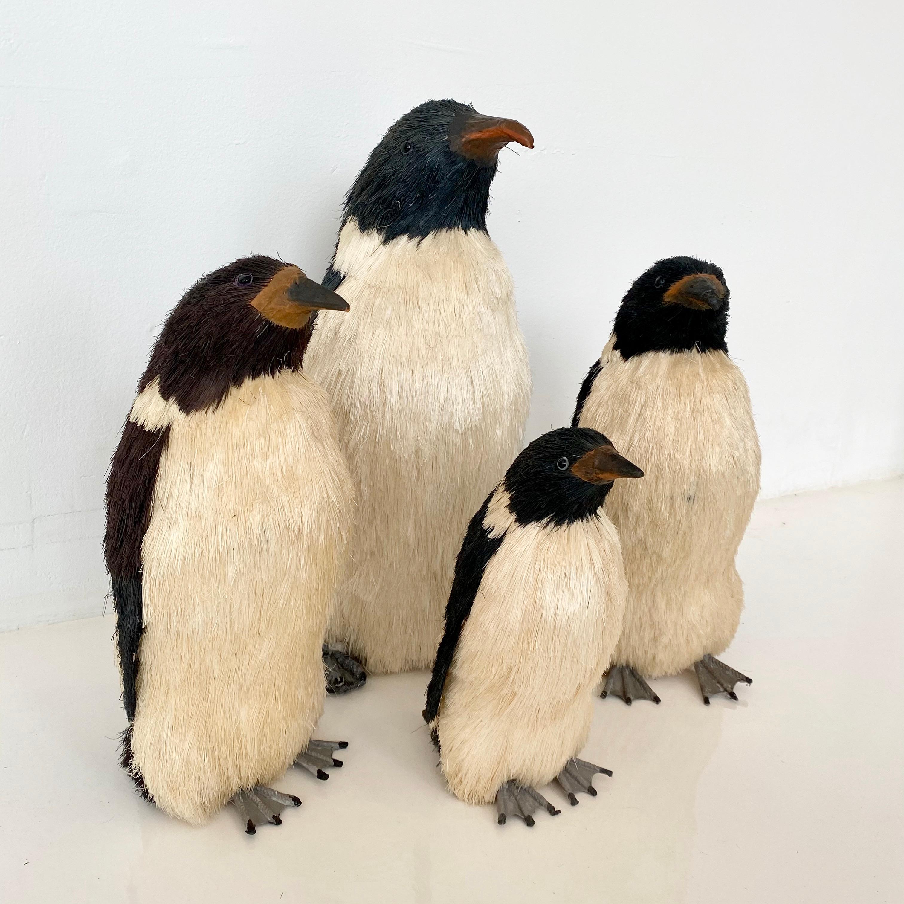 taxidermy penguin for sale
