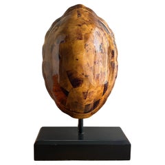 Faux Tortoise Shell Lamp