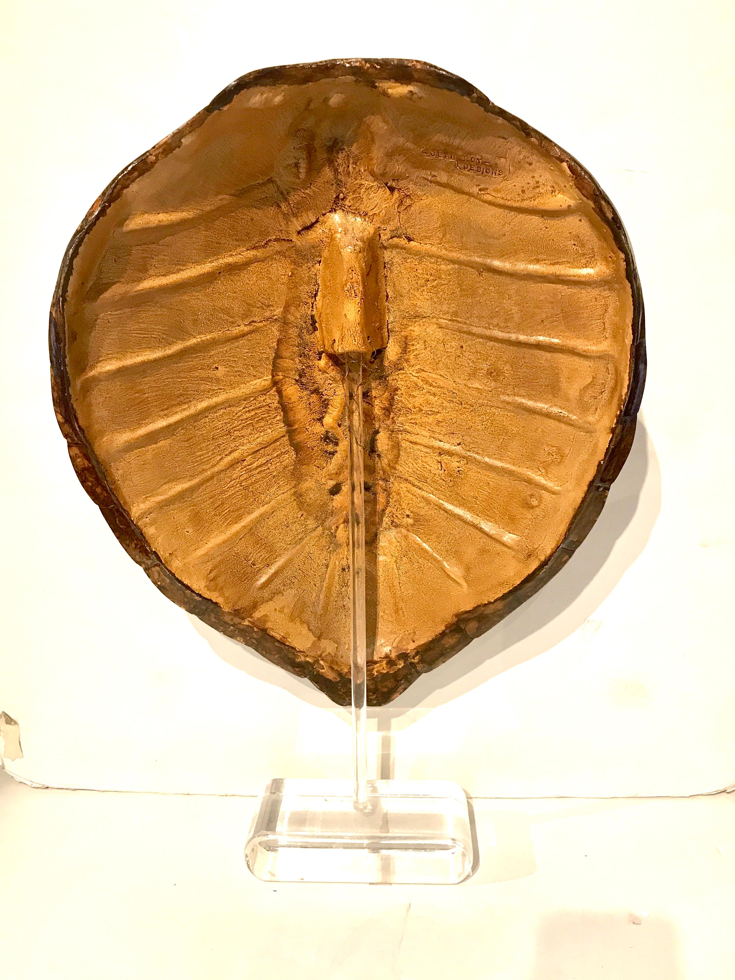 Modern Faux Tortoise Shell Sculpture by Jean Roy Designs