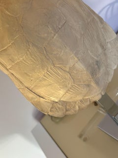 Faux Turtle Shell Lamps