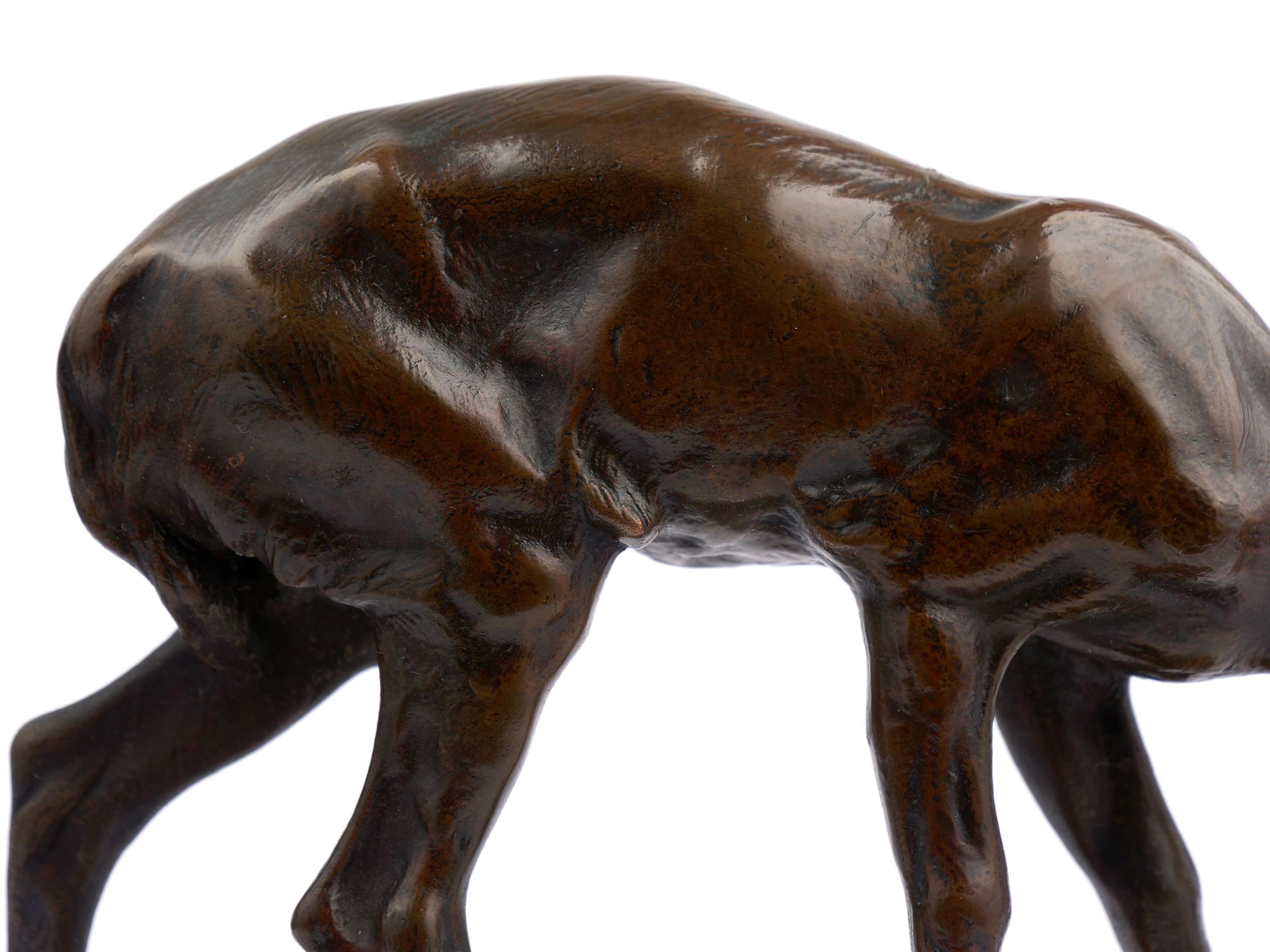 “Fawn” Bronze Sculpture by Alexander Phimister Proctor, cast by Gorham Co. 6