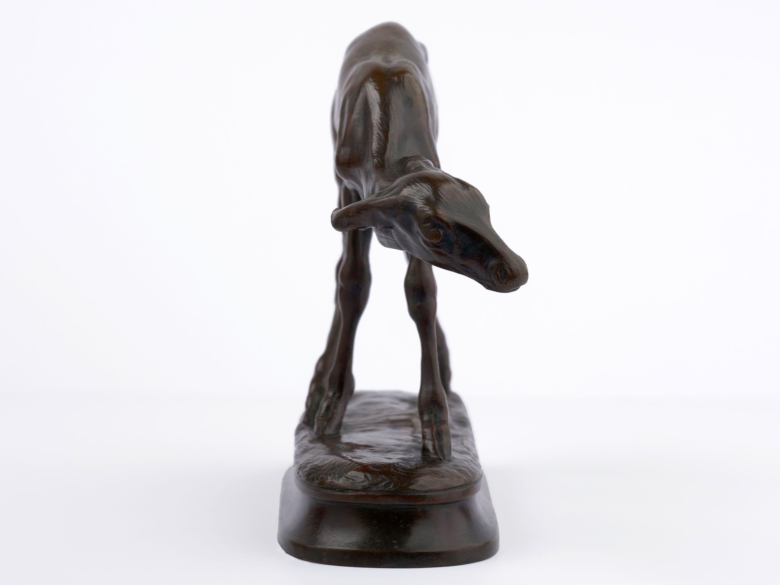 American “Fawn” Bronze Sculpture by Alexander Phimister Proctor, cast by Gorham Co.