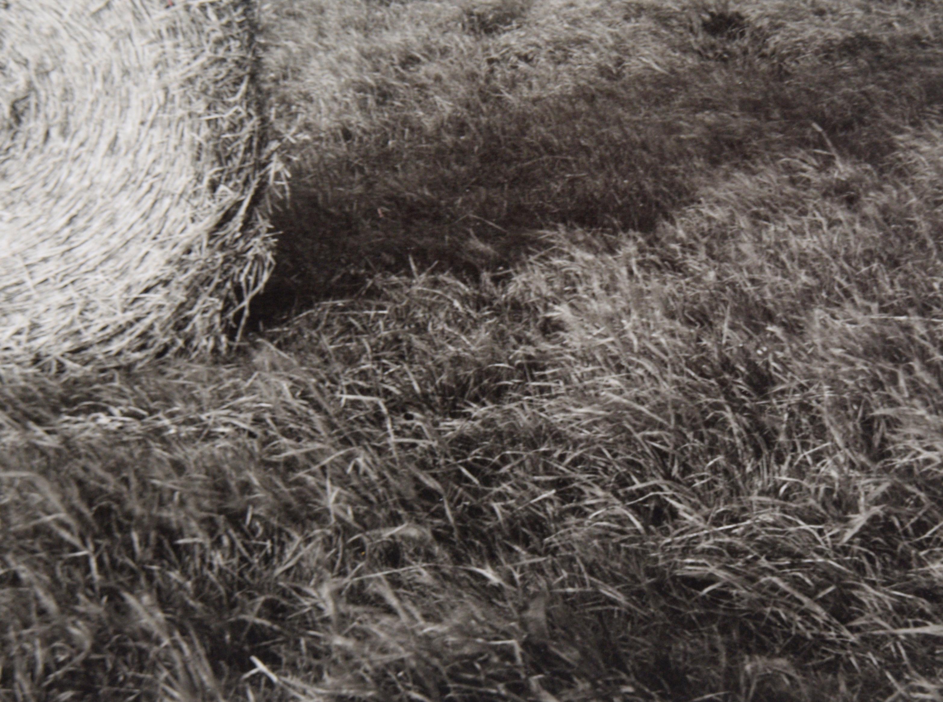 Le pietre di Stennes, Orcadi - Fotografia in bianco e nero 1