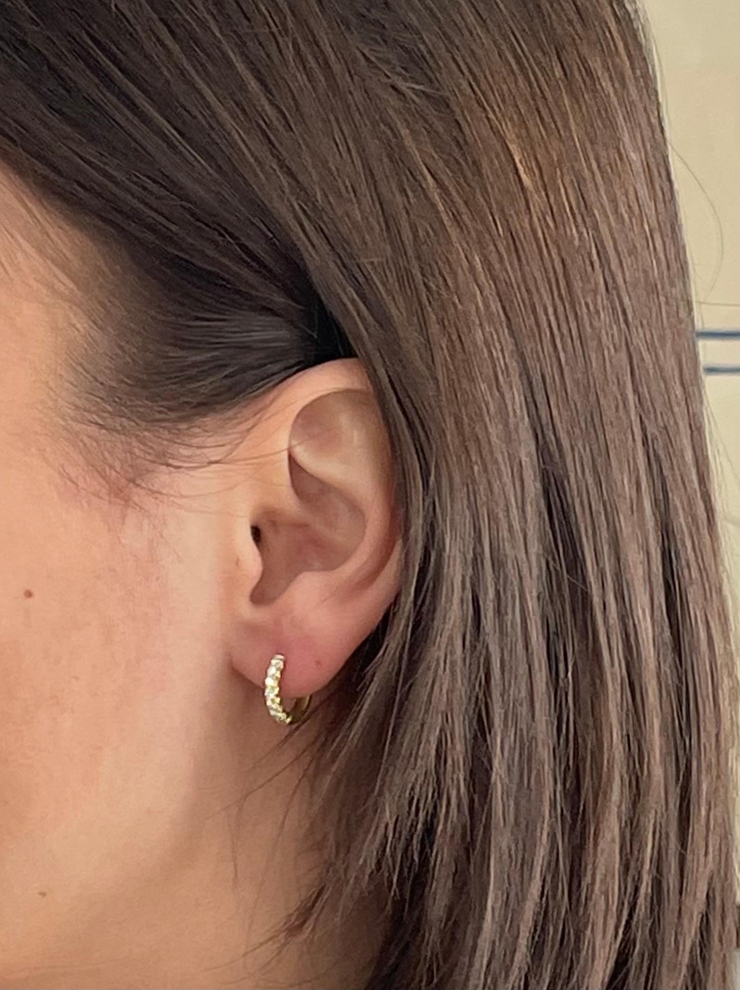 Handcrafted 18k gold huggy hoops with micro pave diamonds. The matte finish enhances the bright sparkle of the diamonds and conveys understated elegance.   A truly stylish way to way to hug your ears.

Diamonds = .35 Carats twt
Diameter = .375