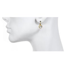 Faye Kim 18 Karat Gold Ceylon Mondstein Leverback Ohrringe