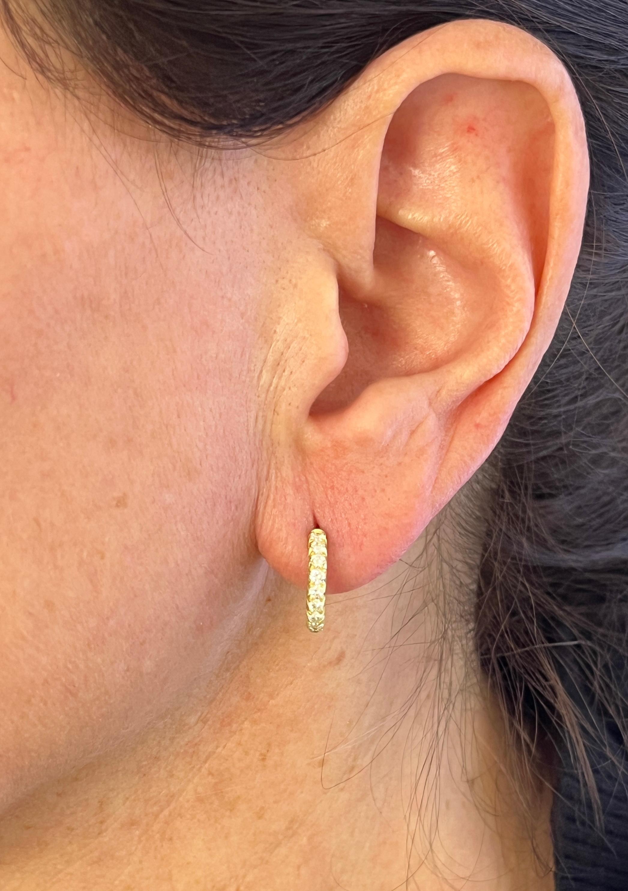 Handcrafted in 18 Karat Gold, Faye's Diamond Micro Pave hoops with posts will quickly become your go-to earrings. Ideal for both casual and formal occasions, these earrings are a perfect fit and will work with any wardrobe. Matte gold enhances the