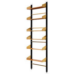 Feal Wall Unit in Brass and Teak