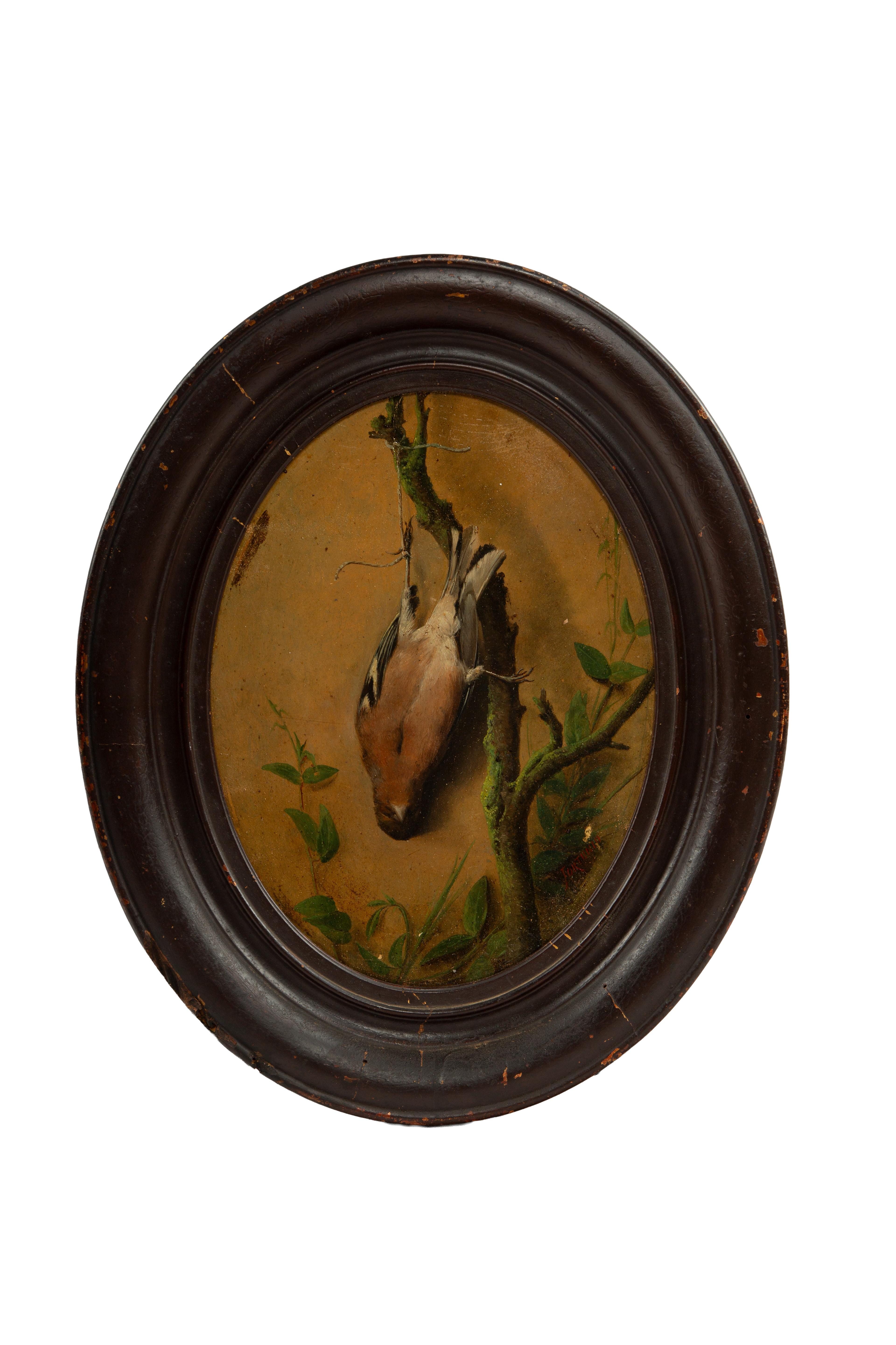 Öl auf Karton von Fortuny, Nature Morte

Ein fein ausgeführtes Öl auf Karton aus dem 19. Jahrhundert, das eine Trompe-l'œil-Nature-morte-Szene eines Wildvogels zeigt, der an einer Schnur an einem moosbewachsenen Ast hängt, umgeben von grünem Laub.
