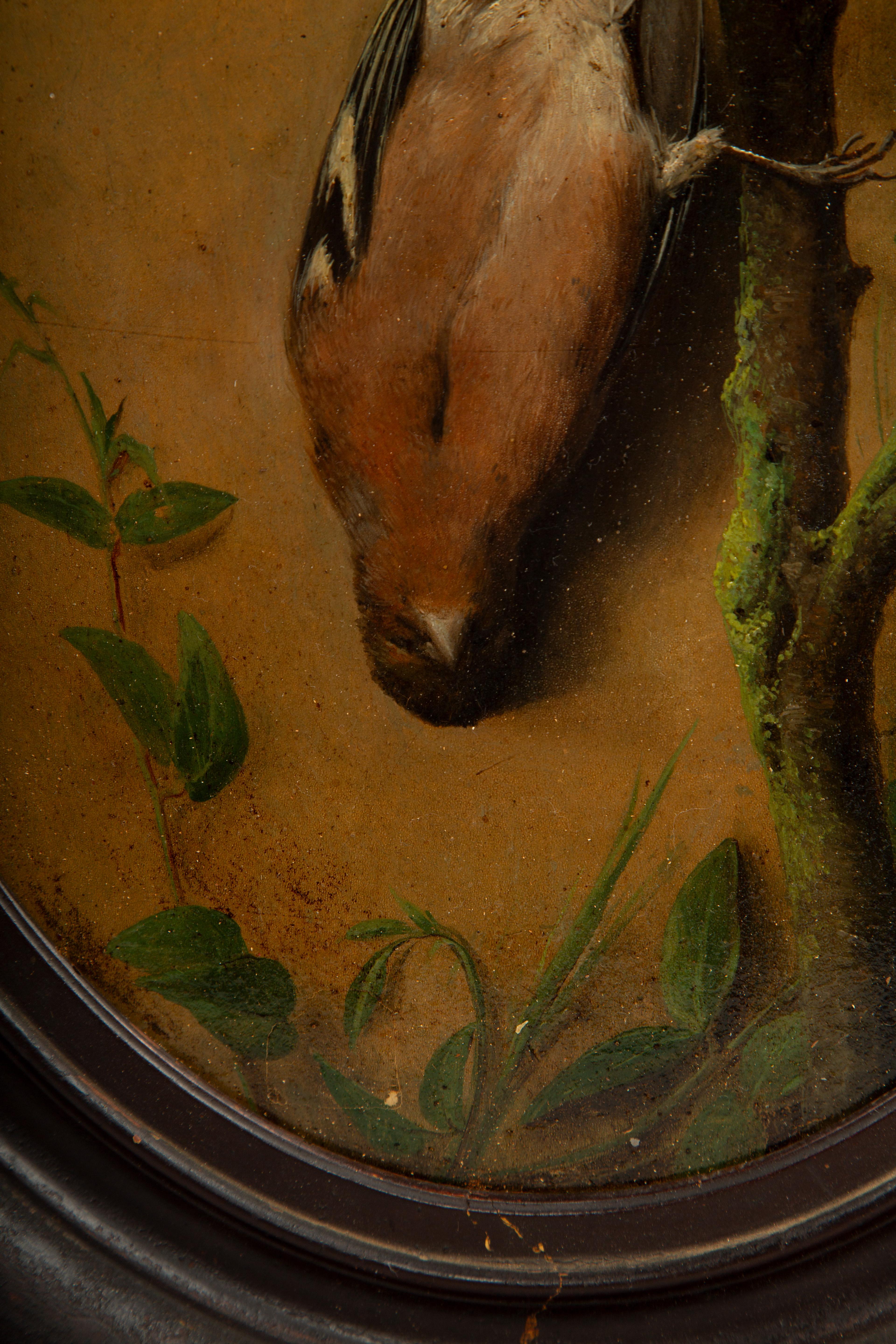 Feder und Stille: Öl auf Karton einer Nature Morte (19. Jahrhundert) im Angebot
