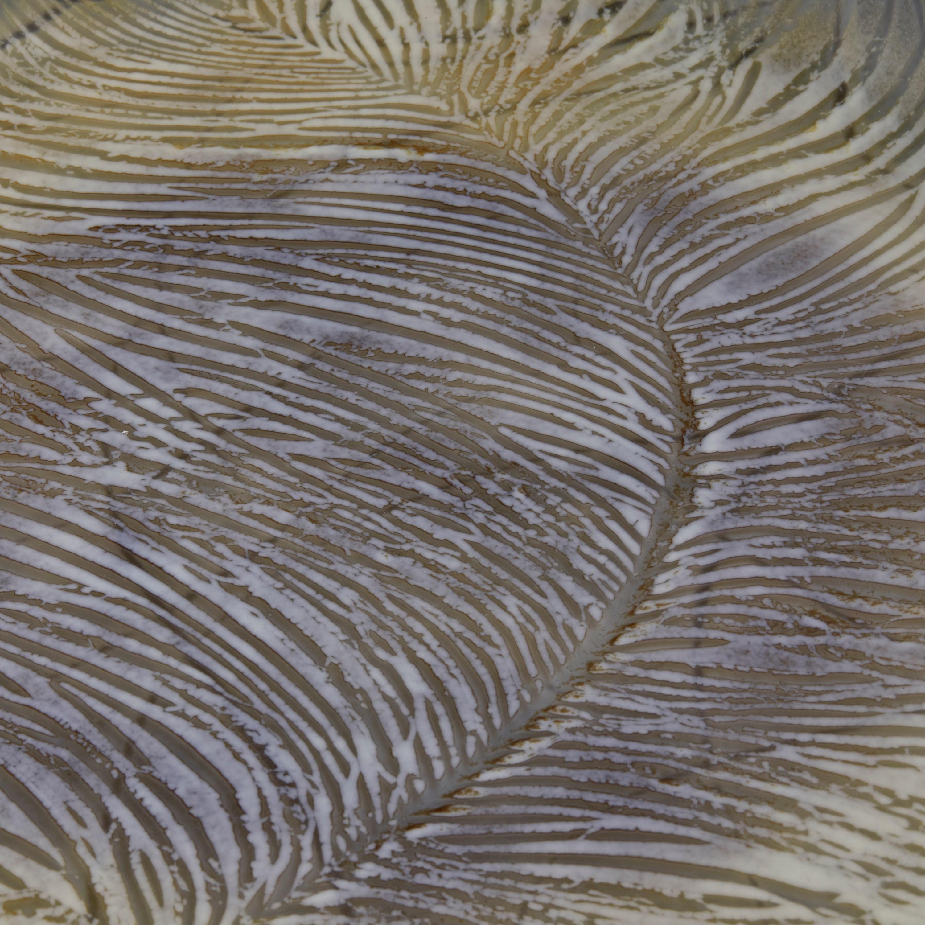 Organic Modern Feather Platter I, a Glass Platter in Brown & Earthy Colours by Amanda Simmons