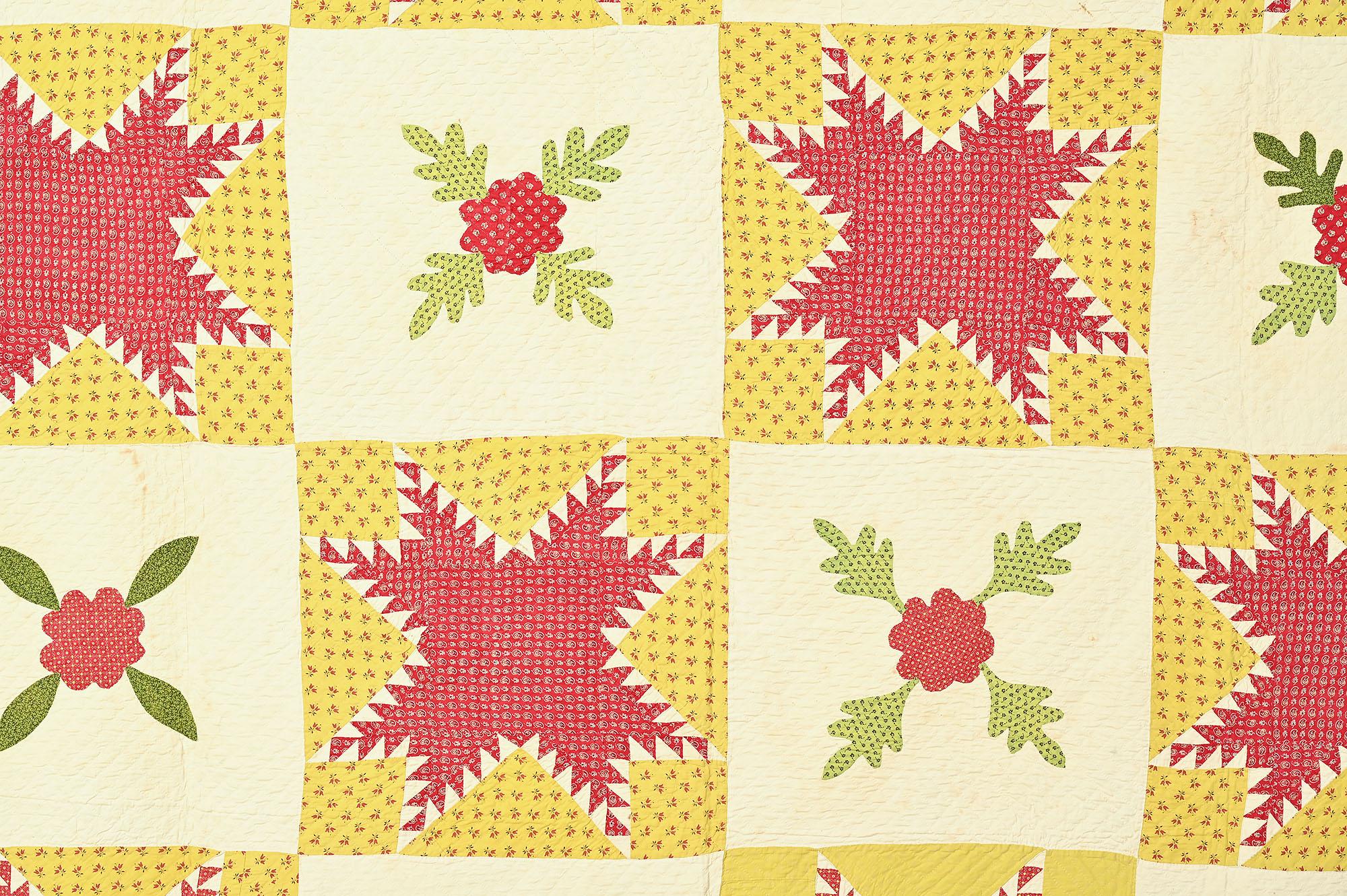 Country Étoiles plumées Quilt en vente