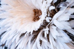 Feathers Jujuhat, circa 2010, Senegal