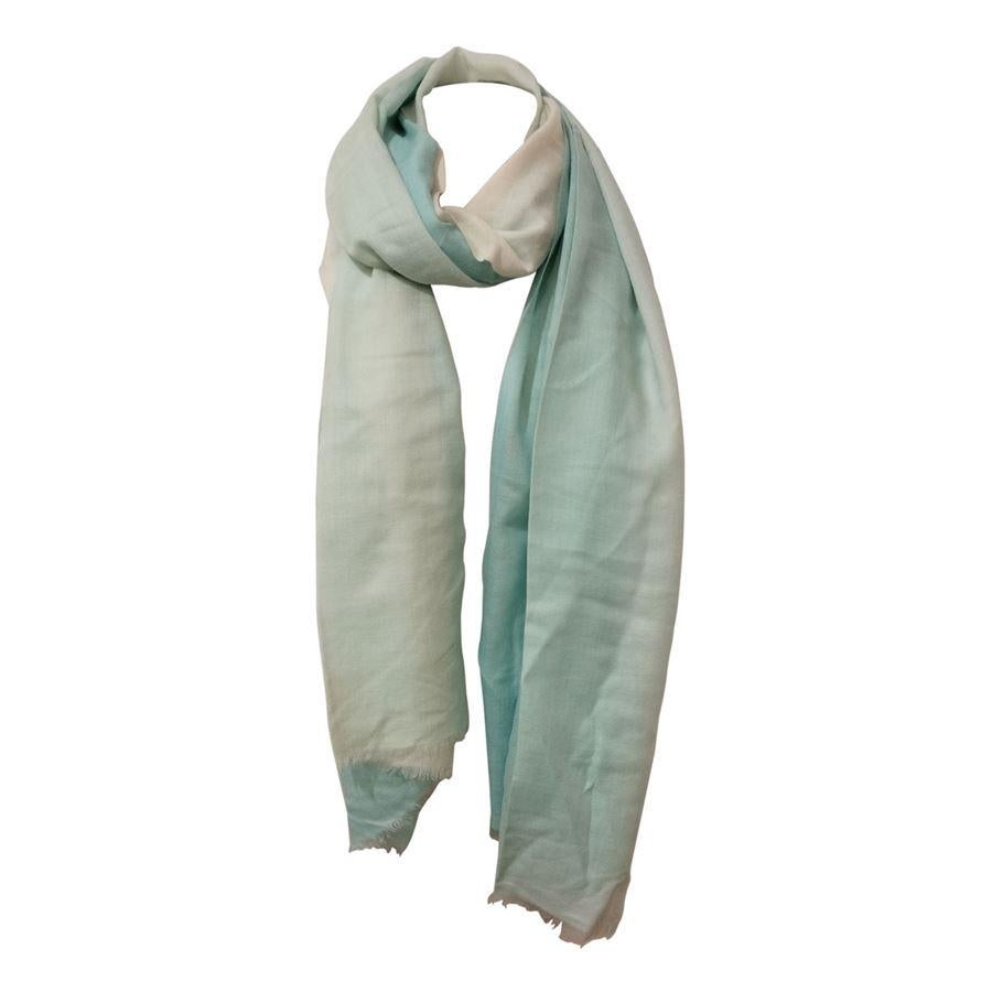 Fedeli Mint Green Cashmere Stole For Sale