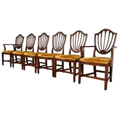 Federal Mahogany Shield Back Dining Chairs, Set of Six