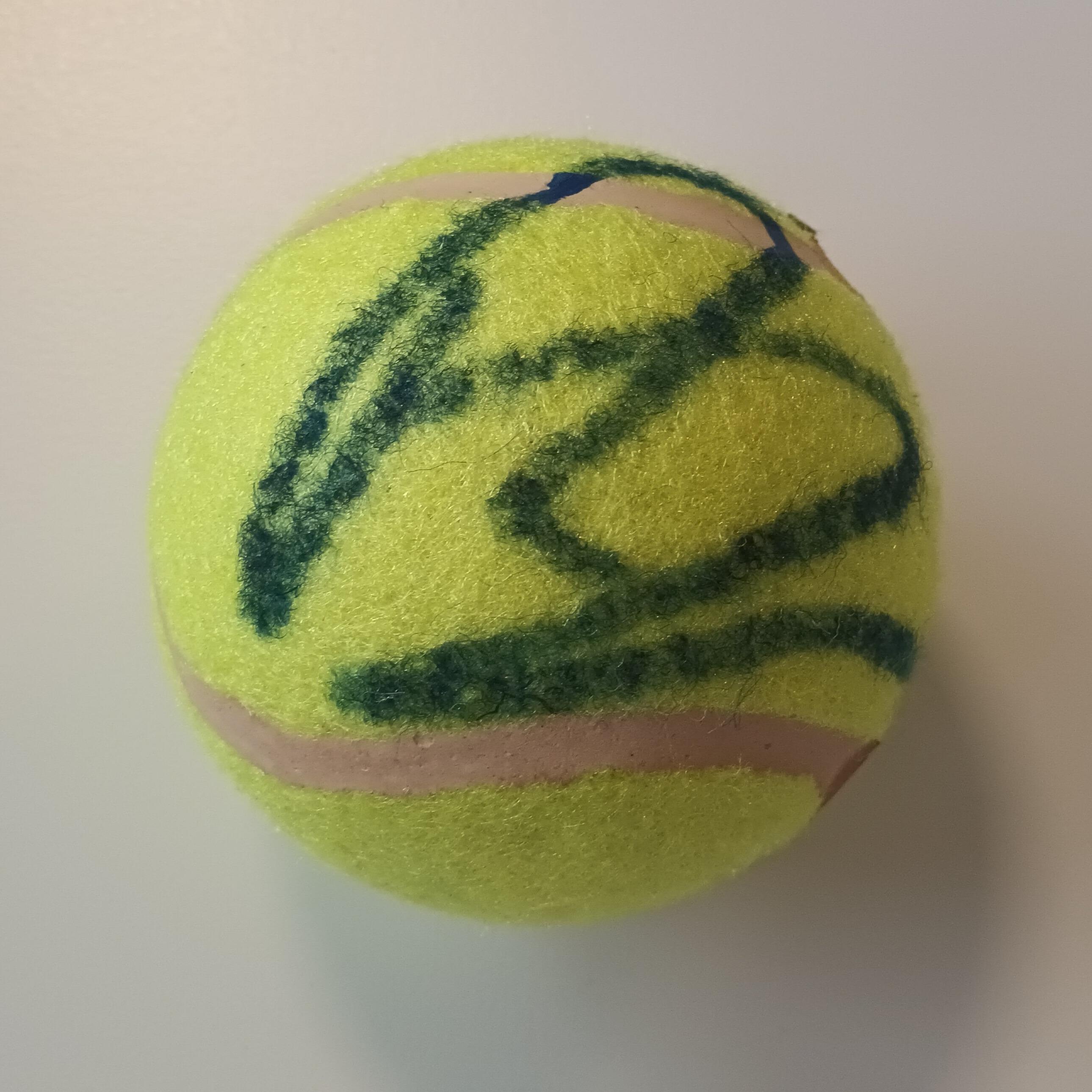 Felt Federer, Nadal and Djokovic Autographed Tennis Balls