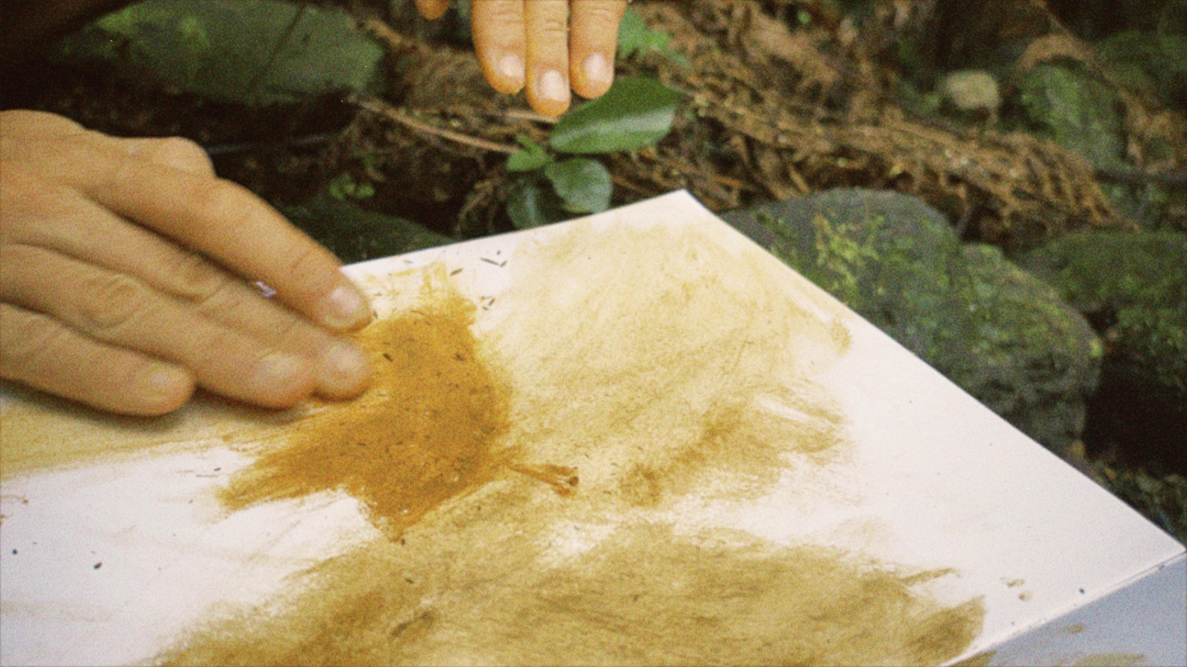 Muted Woodland Soft Abstract Landscape Earth Tones by Federica Furbelli For Sale 6